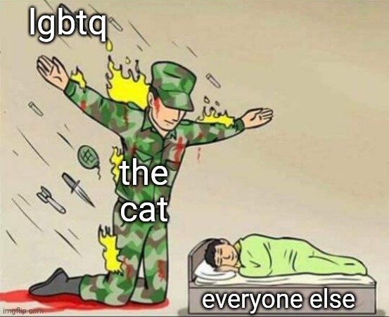 Soldier protecting sleeping child | lgbtq the cat everyone else | image tagged in soldier protecting sleeping child | made w/ Imgflip meme maker