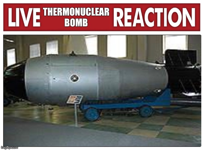 i might never stop making these | THERMONUCLEAR BOMB | image tagged in live reaction | made w/ Imgflip meme maker