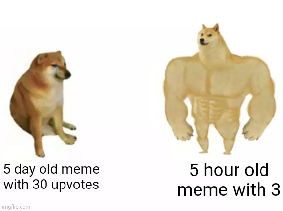 buff doge vs cheems reversed | 5 hour old meme with 3; 5 day old meme with 30 upvotes | image tagged in buff doge vs cheems reversed | made w/ Imgflip meme maker