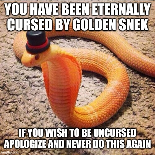 Dapper Snek | YOU HAVE BEEN ETERNALLY CURSED BY GOLDEN SNEK IF YOU WISH TO BE UNCURSED APOLOGIZE AND NEVER DO THIS AGAIN | image tagged in dapper snek | made w/ Imgflip meme maker