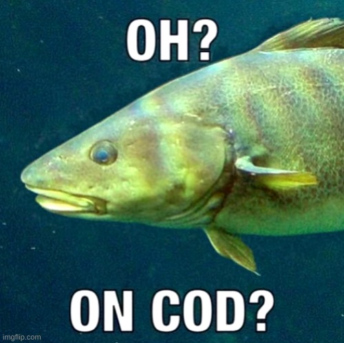 oh? on cod? | image tagged in oh on cod | made w/ Imgflip meme maker