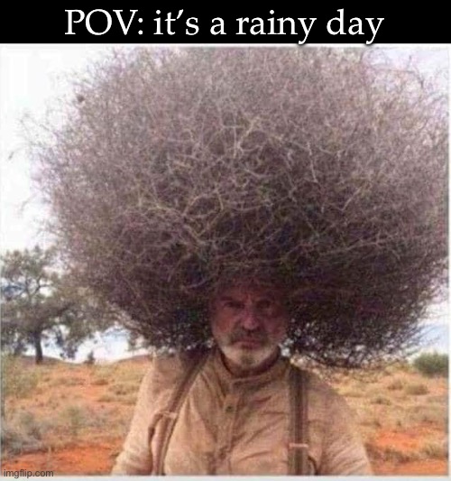 Rainy weather | POV: it’s a rainy day | image tagged in rain,big hair | made w/ Imgflip meme maker