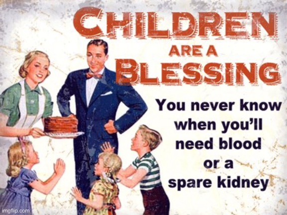 A blessing | image tagged in children,a blessing,if you need spare part | made w/ Imgflip meme maker