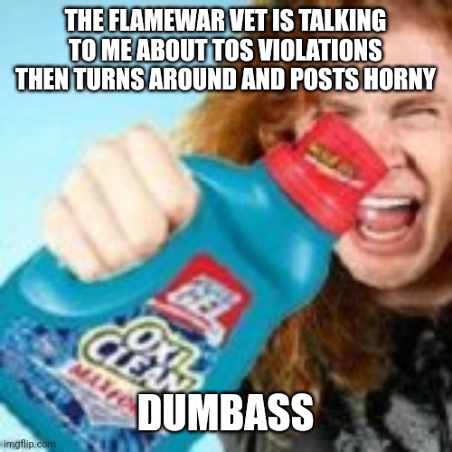shitpost | THE FLAMEWAR VET IS TALKING TO ME ABOUT TOS VIOLATIONS THEN TURNS AROUND AND POSTS HORNY; DUMBASS | image tagged in shitpost | made w/ Imgflip meme maker