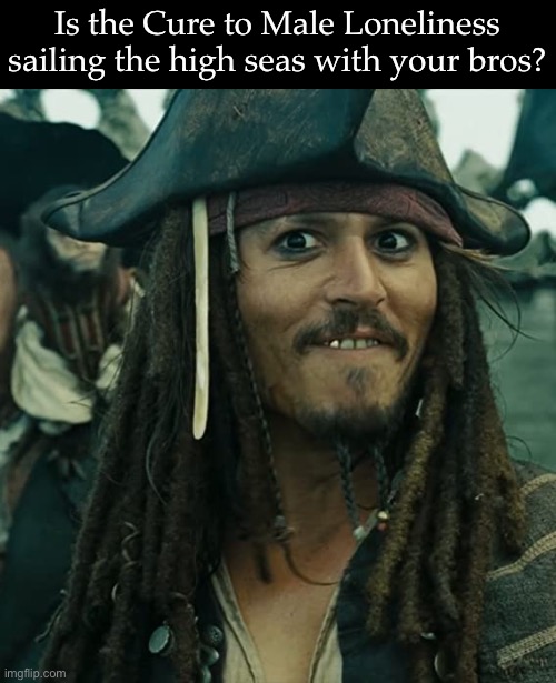 Male loneliness | Is the Cure to Male Loneliness sailing the high seas with your bros? | image tagged in jack sparrow oh that's nice | made w/ Imgflip meme maker