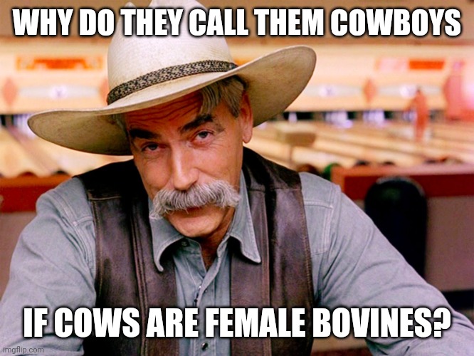 Wise question of the day | WHY DO THEY CALL THEM COWBOYS; IF COWS ARE FEMALE BOVINES? | image tagged in wise cowboy | made w/ Imgflip meme maker