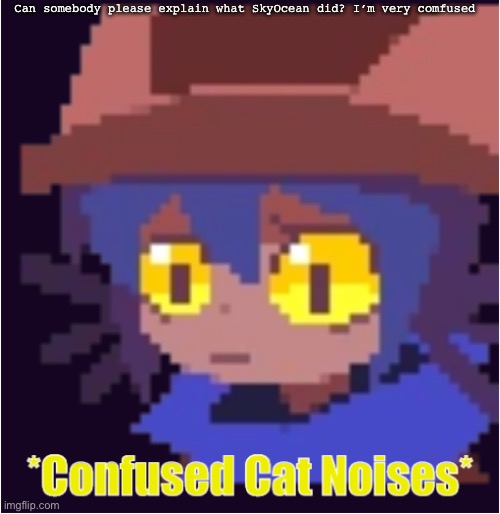 confused cat noises | Can somebody please explain what SkyOcean did? I’m very confused | image tagged in confused cat noises | made w/ Imgflip meme maker