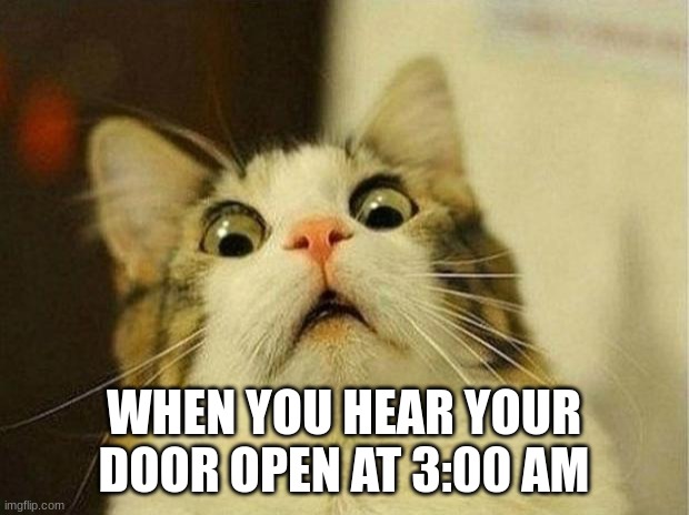 Scared Cat Meme | WHEN YOU HEAR YOUR DOOR OPEN AT 3:00 AM | image tagged in memes,scared cat | made w/ Imgflip meme maker