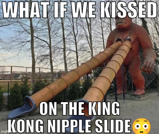 WHAT IF WE KISSED; ON THE KING KONG NIPPLE SLIDE😳 | made w/ Imgflip meme maker