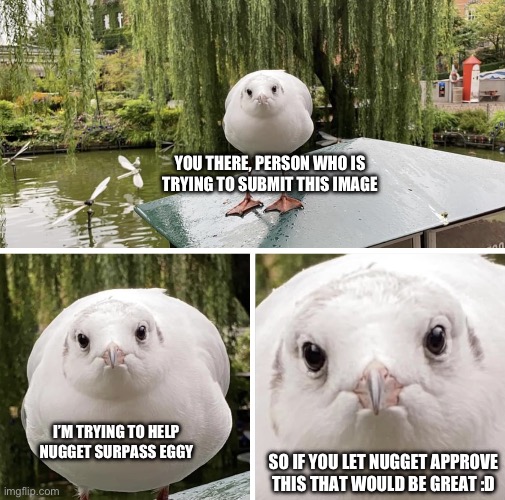 Birbsss | YOU THERE, PERSON WHO IS TRYING TO SUBMIT THIS IMAGE; I’M TRYING TO HELP NUGGET SURPASS EGGY; SO IF YOU LET NUGGET APPROVE THIS THAT WOULD BE GREAT :D | image tagged in judgmental birb | made w/ Imgflip meme maker