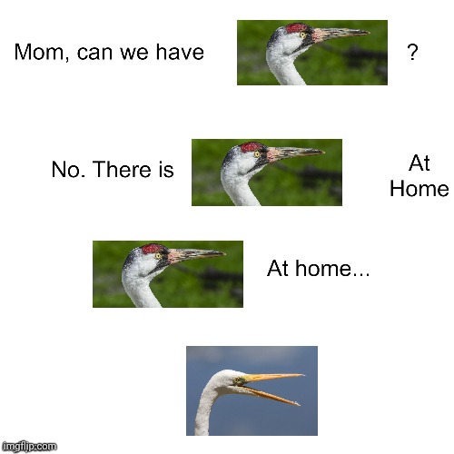 Mom can we have cranes | image tagged in mom can we have | made w/ Imgflip meme maker