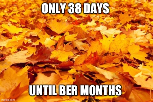 Only 38 days until Ber Months | ONLY 38 DAYS; UNTIL BER MONTHS | image tagged in autumn leaves | made w/ Imgflip meme maker