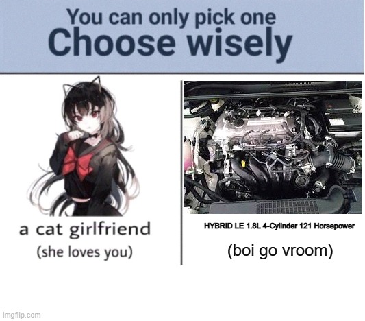 Choose wisely | HYBRID LE	1.8L 4-Cylinder	121 Horsepower; (boi go vroom) | image tagged in choose wisely | made w/ Imgflip meme maker