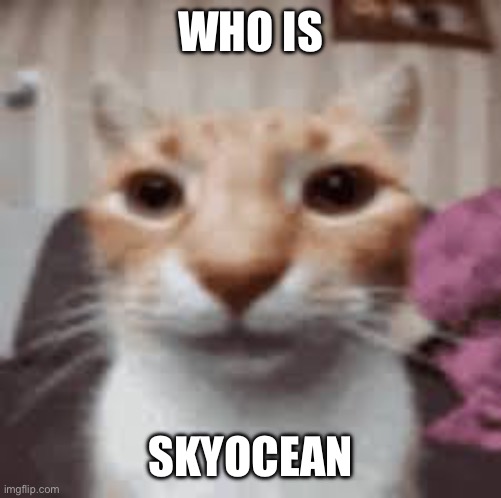 seriously who | WHO IS; SKYOCEAN | image tagged in straight face cat | made w/ Imgflip meme maker