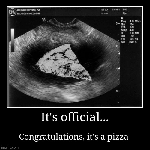 We're going to have a pizza | It's official... | Congratulations, it's a pizza | image tagged in funny,demotivationals | made w/ Imgflip demotivational maker