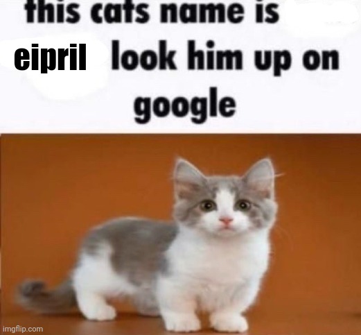 this cats name is x look him up on google | eipril | image tagged in this cats name is x look him up on google | made w/ Imgflip meme maker