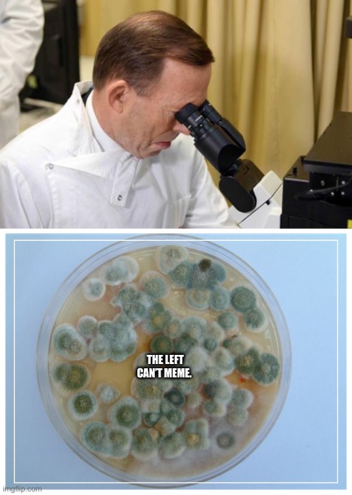 THE LEFT CAN’T MEME. | image tagged in abbott microscope,petri dish full | made w/ Imgflip meme maker