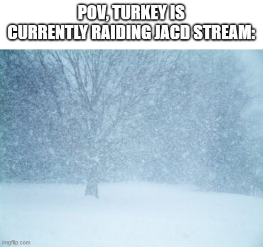 Blizzard | POV, TURKEY IS CURRENTLY RAIDING JACD STREAM: | image tagged in blizzard | made w/ Imgflip meme maker