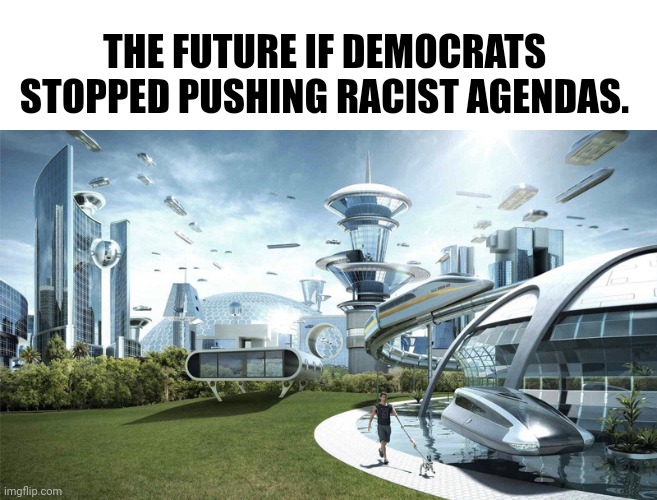 The future world if | THE FUTURE IF DEMOCRATS STOPPED PUSHING RACIST AGENDAS. | image tagged in the future world if | made w/ Imgflip meme maker