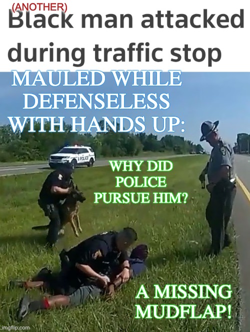 Don't say "Only in Ohio": this happens all over the US | (ANOTHER); MAULED WHILE DEFENSELESS WITH HANDS UP:; WHY DID POLICE PURSUE HIM? A MISSING MUDFLAP! | image tagged in driving while black,police brutality | made w/ Imgflip meme maker