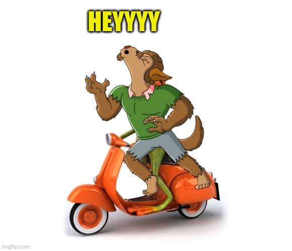 moped frog | HEYYYY | image tagged in moped frog | made w/ Imgflip meme maker