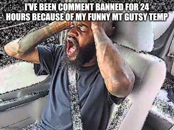 Death Grips Static | I'VE BEEN COMMENT BANNED FOR 24 HOURS BECAUSE OF MY FUNNY MT GUTSY TEMP | image tagged in death grips static | made w/ Imgflip meme maker