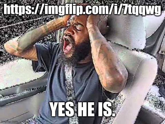 My response to nugget because comment ban | https://imgflip.com/i/7tqqwg; YES HE IS. | image tagged in death grips static | made w/ Imgflip meme maker