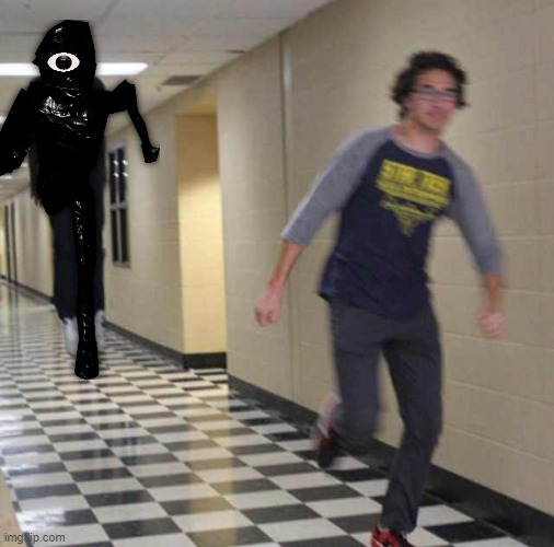 Seek | image tagged in floating boy chasing running boy,doors,roblox | made w/ Imgflip meme maker