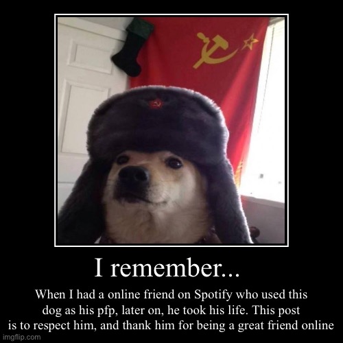 Rest in peace dude | I remember... | When I had a online friend on Spotify who used this dog as his pfp, later on, he took his life. This post is to respect him, | image tagged in funny,demotivationals | made w/ Imgflip demotivational maker