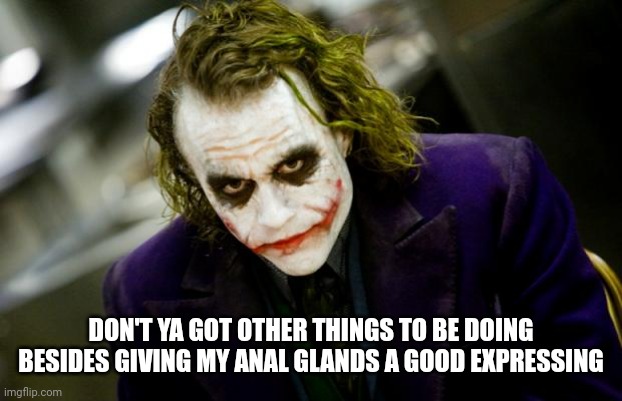 DON'T YA GOT OTHER THINGS TO BE DOING BESIDES GIVING MY ANAL GLANDS A GOOD EXPRESSING | image tagged in why so serious joker | made w/ Imgflip meme maker