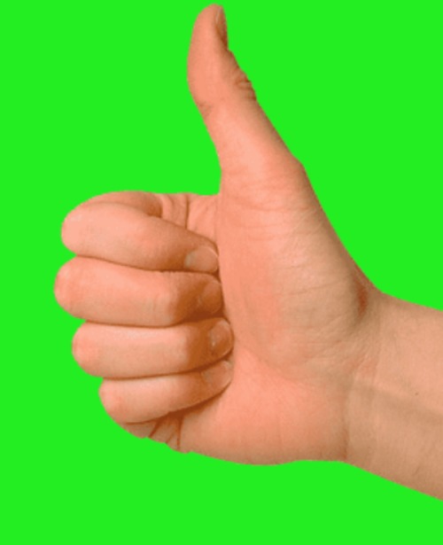 thumbs up | image tagged in thumbs up | made w/ Imgflip meme maker