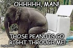 Peanut purge... | OHHHHH, MAN! THOSE PEANUTS GO RIGHT THROUGH ME! | image tagged in memes,funny,animals | made w/ Imgflip meme maker