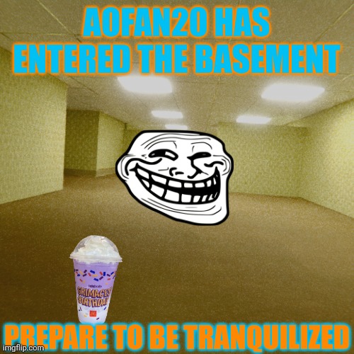 backrooms | AOFAN20 HAS ENTERED THE BASEMENT; PREPARE TO BE TRANQUILIZED | image tagged in backrooms | made w/ Imgflip meme maker