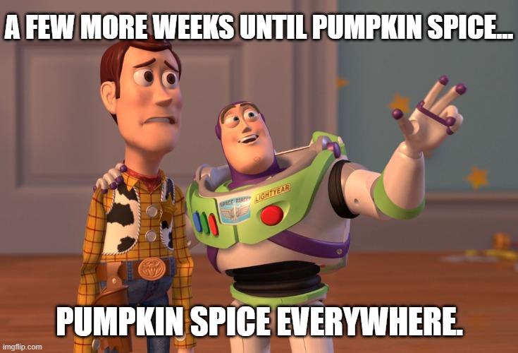 Do you like the lattes more, or the perfume? Pencil erasers? Rum? | A FEW MORE WEEKS UNTIL PUMPKIN SPICE... PUMPKIN SPICE EVERYWHERE. | image tagged in memes,x x everywhere | made w/ Imgflip meme maker