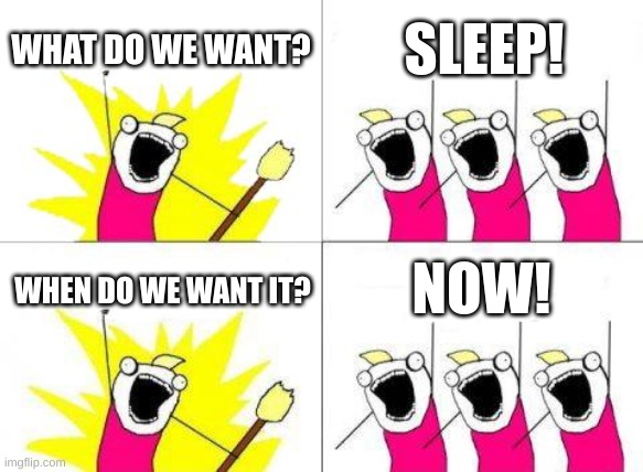 we stare at the celing | WHAT DO WE WANT? SLEEP! NOW! WHEN DO WE WANT IT? | image tagged in memes,what do we want | made w/ Imgflip meme maker