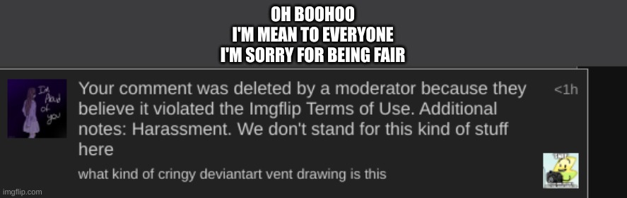 yeesh so much for equality | OH BOOHOO
I'M MEAN TO EVERYONE
I'M SORRY FOR BEING FAIR | made w/ Imgflip meme maker