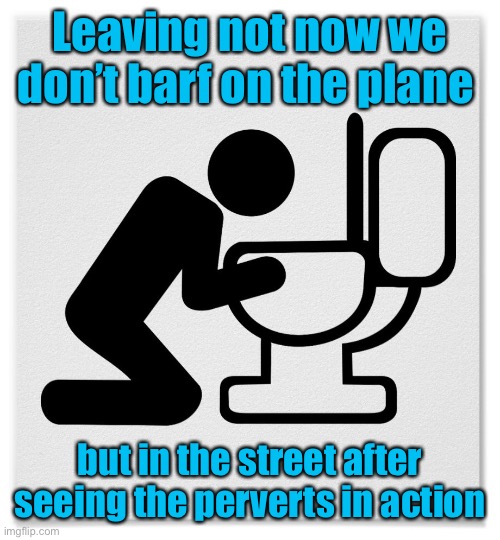 Barfing into the Toilet | Leaving not now we don’t barf on the plane but in the street after seeing the perverts in action | image tagged in barfing into the toilet | made w/ Imgflip meme maker