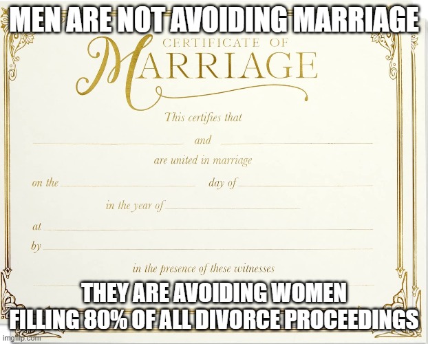 no fault divorce | MEN ARE NOT AVOIDING MARRIAGE; THEY ARE AVOIDING WOMEN FILLING 80% OF ALL DIVORCE PROCEEDINGS | image tagged in divorce,marriage | made w/ Imgflip meme maker