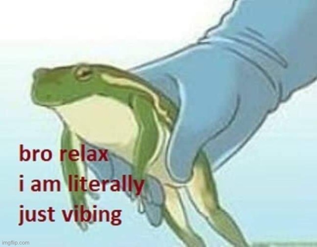 Bro relax i am literally just vibing | image tagged in bro relax i am literally just vibing | made w/ Imgflip meme maker
