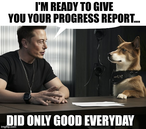 X's & O's | I'M READY TO GIVE YOU YOUR PROGRESS REPORT... DID ONLY GOOD EVERYDAY | image tagged in elon musk,dogecoin,good,doge | made w/ Imgflip meme maker