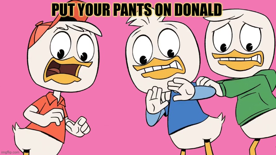 But why? Why would you do that? | PUT YOUR PANTS ON DONALD | image tagged in donald duck,but why why would you do that,no pants | made w/ Imgflip meme maker