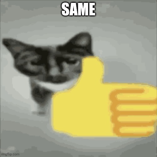 cat thumbs up | SAME | image tagged in cat thumbs up | made w/ Imgflip meme maker