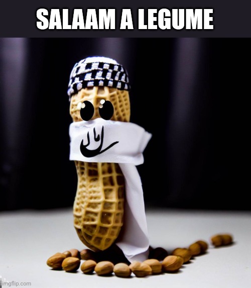Salaam A Legume | SALAAM A LEGUME | image tagged in muslim peanut | made w/ Imgflip meme maker