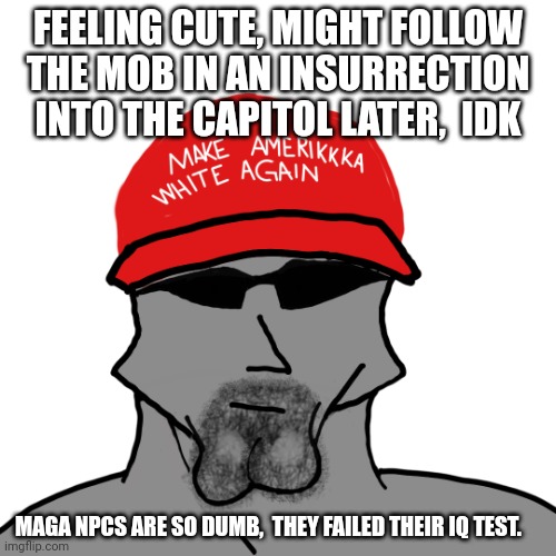 Made this a while back,. Never shafted until now. | FEELING CUTE, MIGHT FOLLOW THE MOB IN AN INSURRECTION INTO THE CAPITOL LATER,  IDK; DISCLAIMER: THIS POST IS SATIRICAL IN NATURE AND DOES NOT DIRECTLY ATTACK ANYONE SPECIFICALLY BUT RATHER AN IDEOLOGY.  ANY LIKENESS FOUND IS PURELY COINCIDENCE. MAGA NPCS ARE SO DUMB,  THEY FAILED THEIR IQ TEST. | image tagged in art,satire,gop,maga,liberals,logic | made w/ Imgflip meme maker