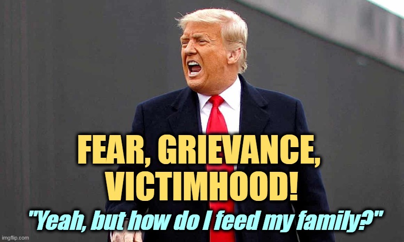 He has no answer. He doesn't hear you. He doesn't care. | FEAR, GRIEVANCE, 
VICTIMHOOD! "Yeah, but how do I feed my family?" | image tagged in trump,fear,complaint,victim,whining,inflation | made w/ Imgflip meme maker