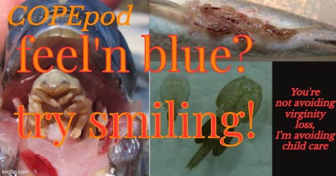 COPEpod's announcement template | feel'n blue? try smiling! | image tagged in copepod's announcement template | made w/ Imgflip meme maker