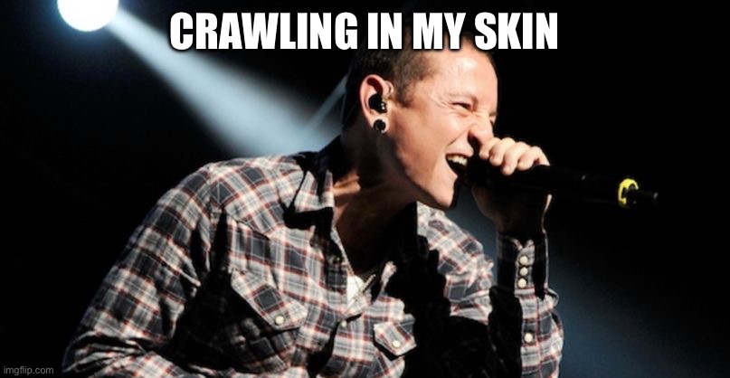 linkin park crawling | CRAWLING IN MY SKIN | image tagged in linkin park crawling | made w/ Imgflip meme maker