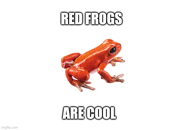 RED FROGS; ARE COOL | made w/ Imgflip meme maker