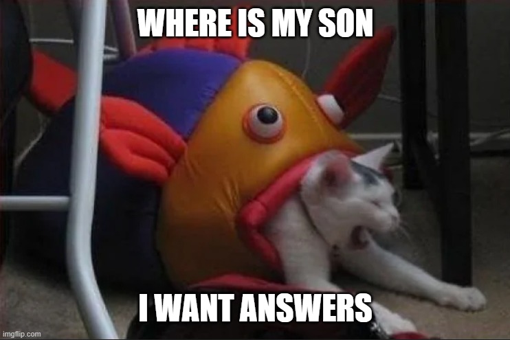 Nemo meme | WHERE IS MY SON; I WANT ANSWERS | image tagged in finding nemo,repost,fish,cat,eating,dark humor | made w/ Imgflip meme maker
