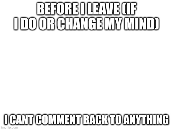 no furry | BEFORE I LEAVE (IF I DO OR CHANGE MY MIND); I CANT COMMENT BACK TO ANYTHING | image tagged in bye | made w/ Imgflip meme maker